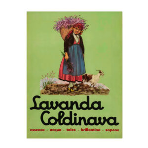 Lavanda Coldinava Poster by Alberto Bianchi - 1953